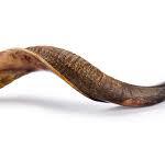 Shofar