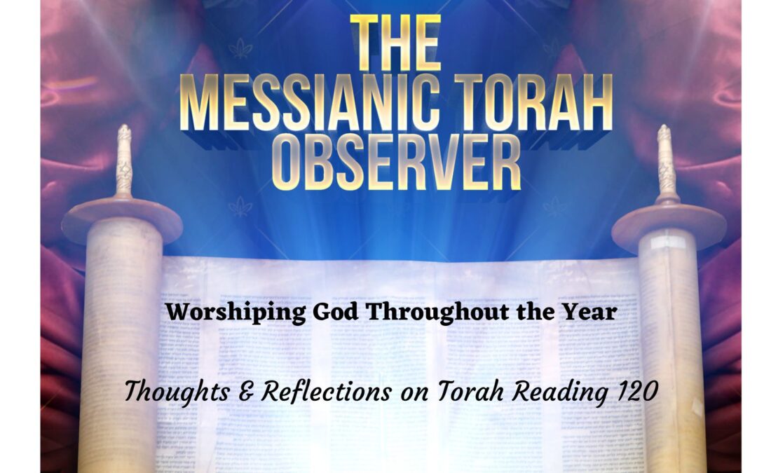 Worshiping God Throughout the Year — Thoughts and Reflections on Torah Reading 120
